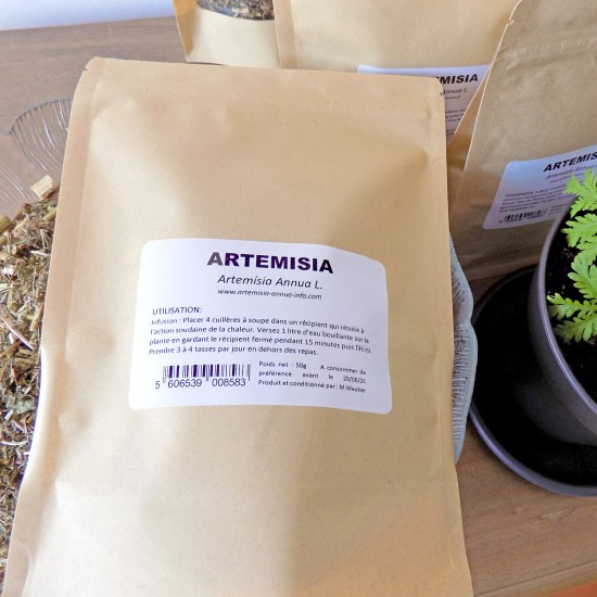 Artemisia Annua Tea
